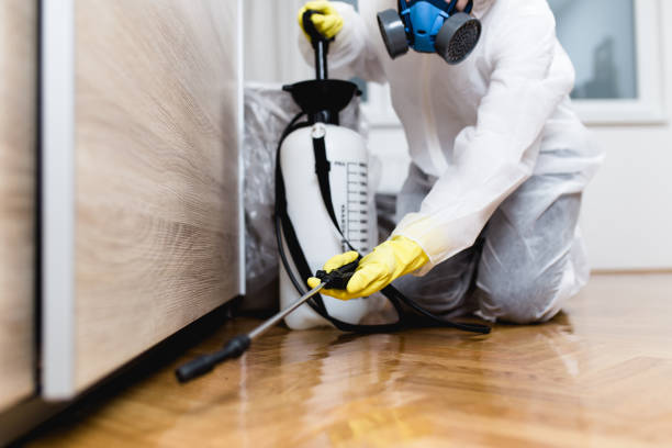 Best Pest Inspection Near Me  in New Rochelle, NY
