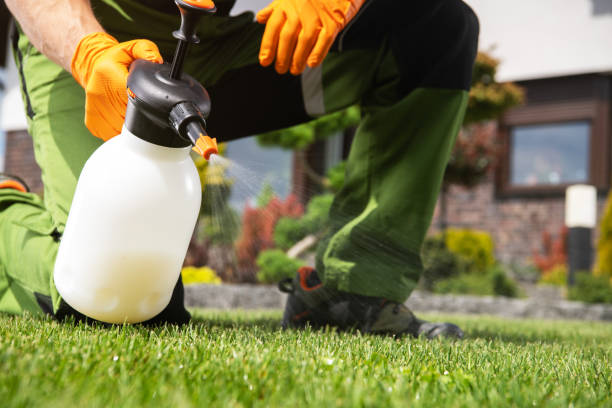 Best Bird Control  in New Rochelle, NY
