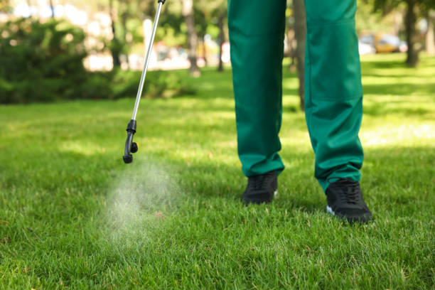Best Residential Pest Control  in New Rochelle, NY