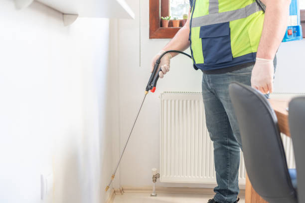 Best Pest Removal Services  in New Rochelle, NY