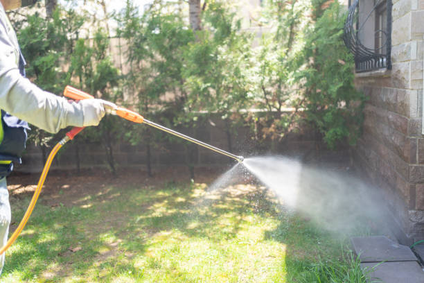 Best Mosquito Control Services  in New Rochelle, NY