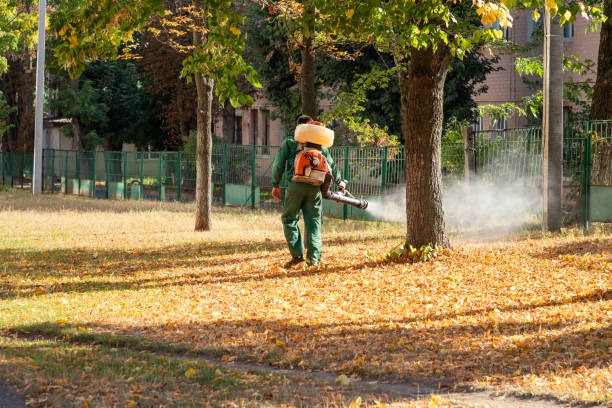Best Flea Control Services  in New Rochelle, NY
