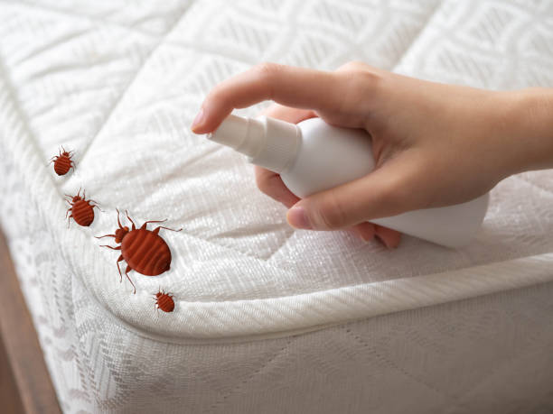 Insect Control in New Rochelle, NY